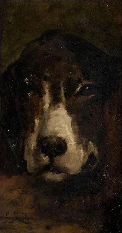 Testa di cane
